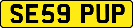 SE59PUP