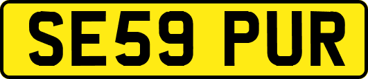 SE59PUR