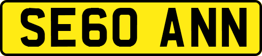 SE60ANN