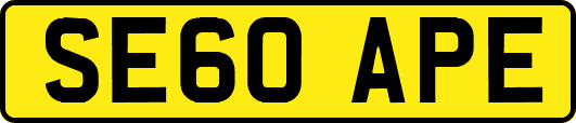 SE60APE
