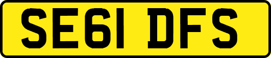 SE61DFS