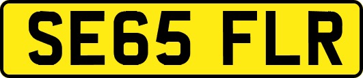 SE65FLR