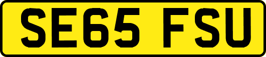SE65FSU