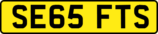 SE65FTS