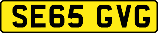 SE65GVG