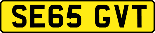 SE65GVT