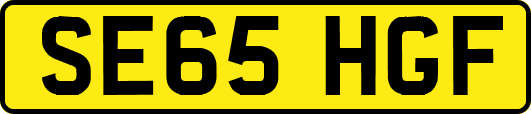 SE65HGF