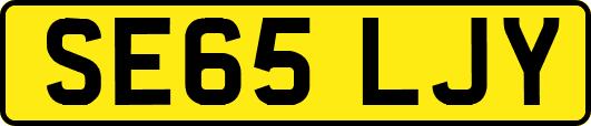 SE65LJY