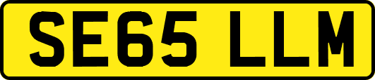 SE65LLM