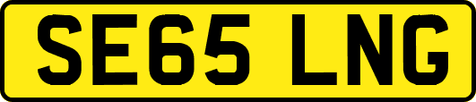SE65LNG