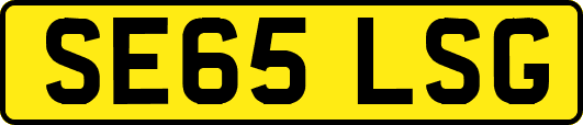 SE65LSG