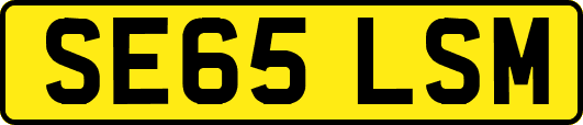 SE65LSM