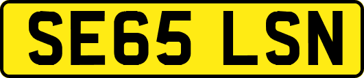 SE65LSN