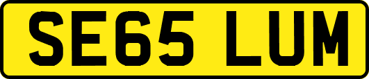 SE65LUM