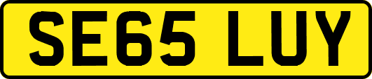 SE65LUY