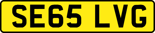 SE65LVG