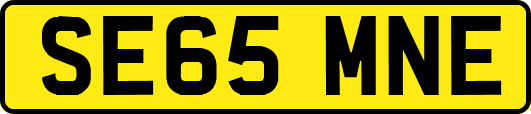 SE65MNE
