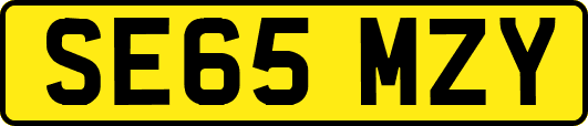 SE65MZY