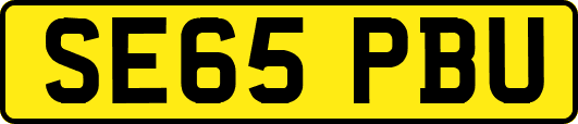 SE65PBU