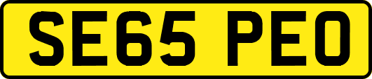 SE65PEO