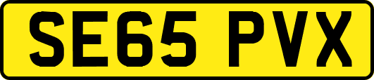 SE65PVX