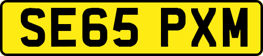 SE65PXM