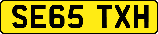 SE65TXH
