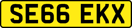 SE66EKX