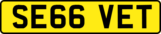 SE66VET