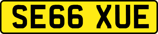 SE66XUE