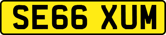SE66XUM
