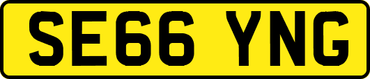 SE66YNG