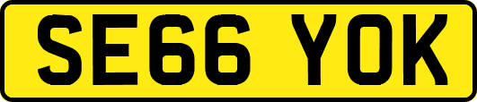 SE66YOK