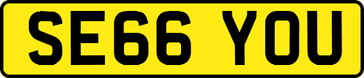 SE66YOU