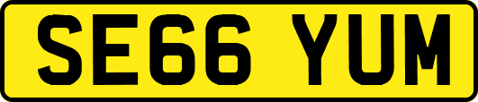 SE66YUM