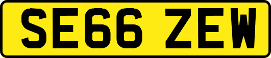 SE66ZEW