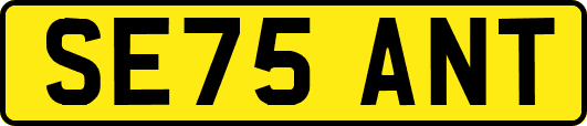 SE75ANT