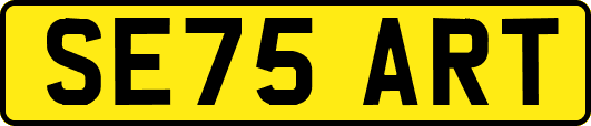 SE75ART