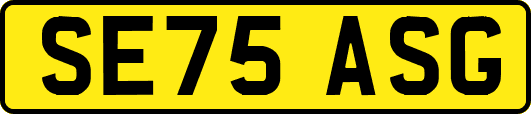 SE75ASG