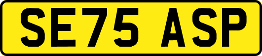 SE75ASP