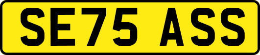 SE75ASS