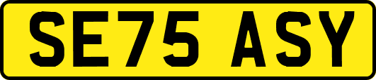 SE75ASY