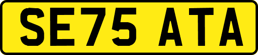 SE75ATA