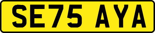 SE75AYA