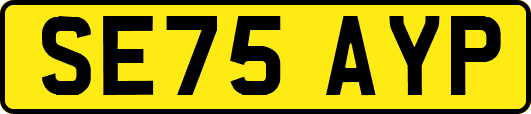 SE75AYP