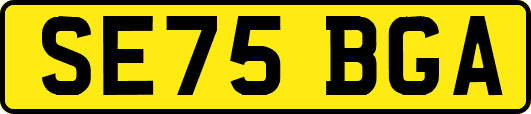 SE75BGA
