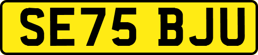 SE75BJU
