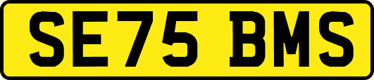 SE75BMS