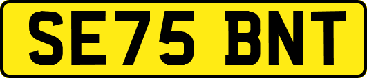 SE75BNT