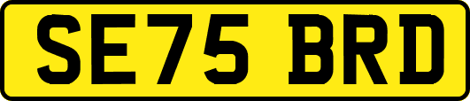 SE75BRD